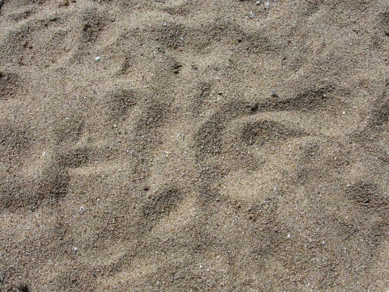 Service Image